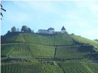 mosel12_29.JPG