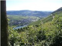 mosel12_33.JPG